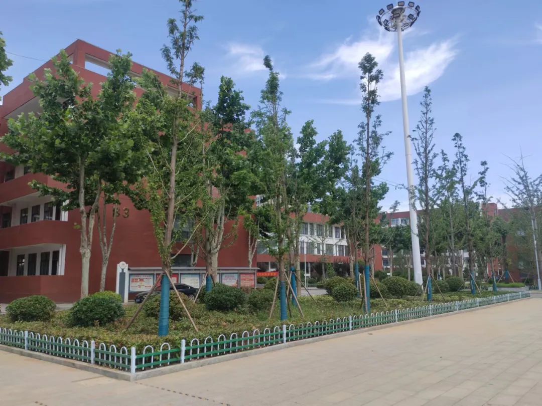 郯城一中-山东省郯城第一中学官网官网