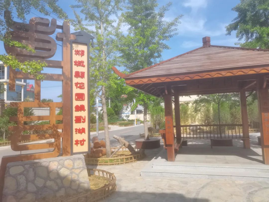 图片[2]-【学悟见创】郯城一中开展研学活动：走进“博士巷”-郯城一中